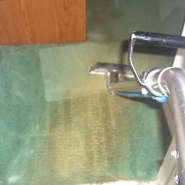 carpet cleaning service