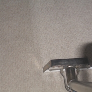 steam carpet cleaning